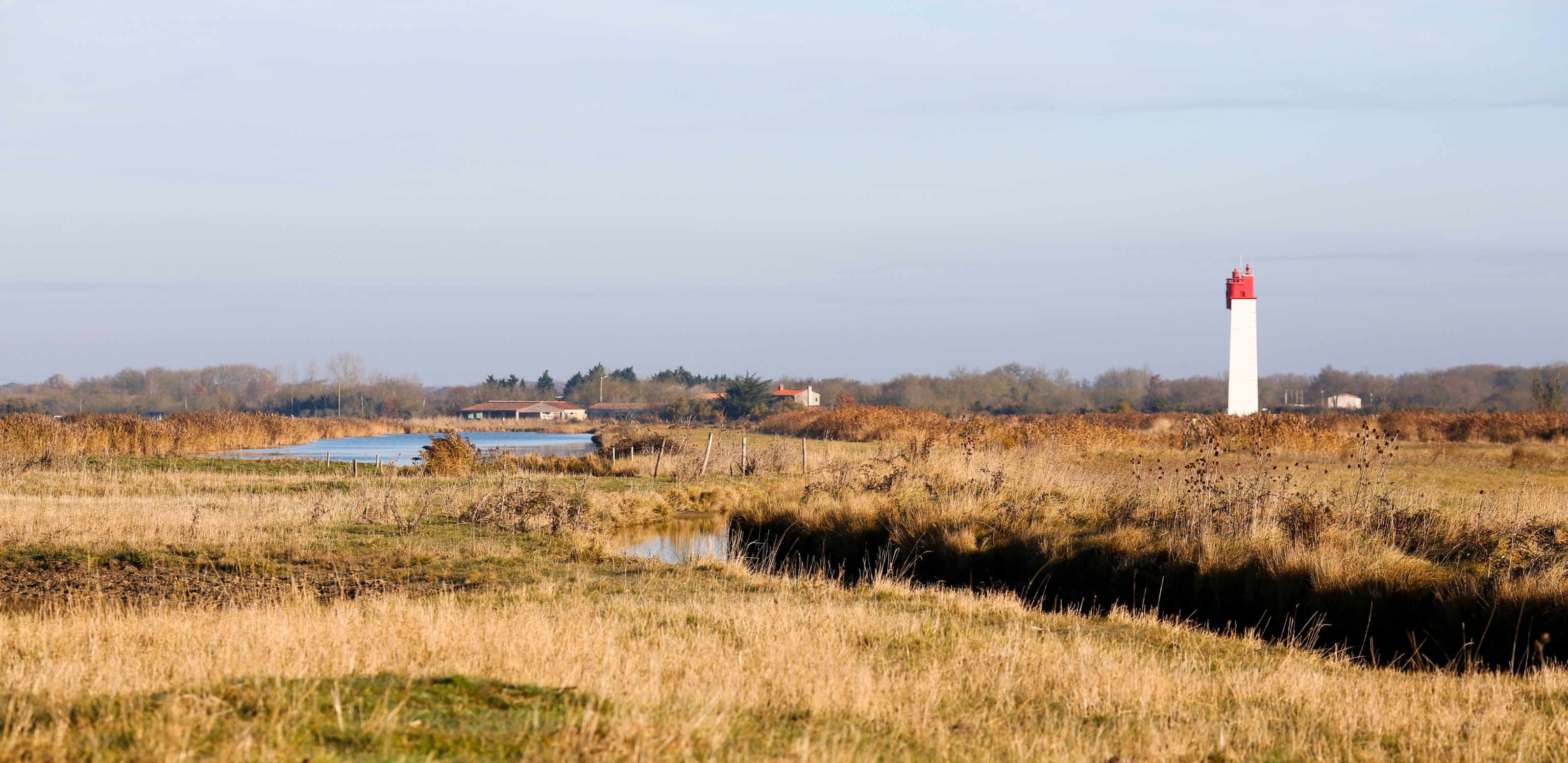 Paysage de marais en Charente-Maritime avec un phare en arrière-plan.