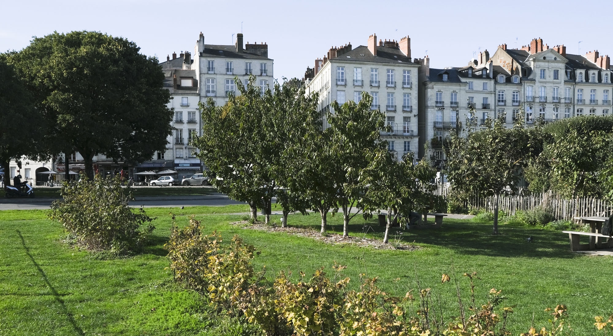 Espace vert urbain aménagé à Nantes, avec arbres et immeubles de centre-ville en arrière-plan.