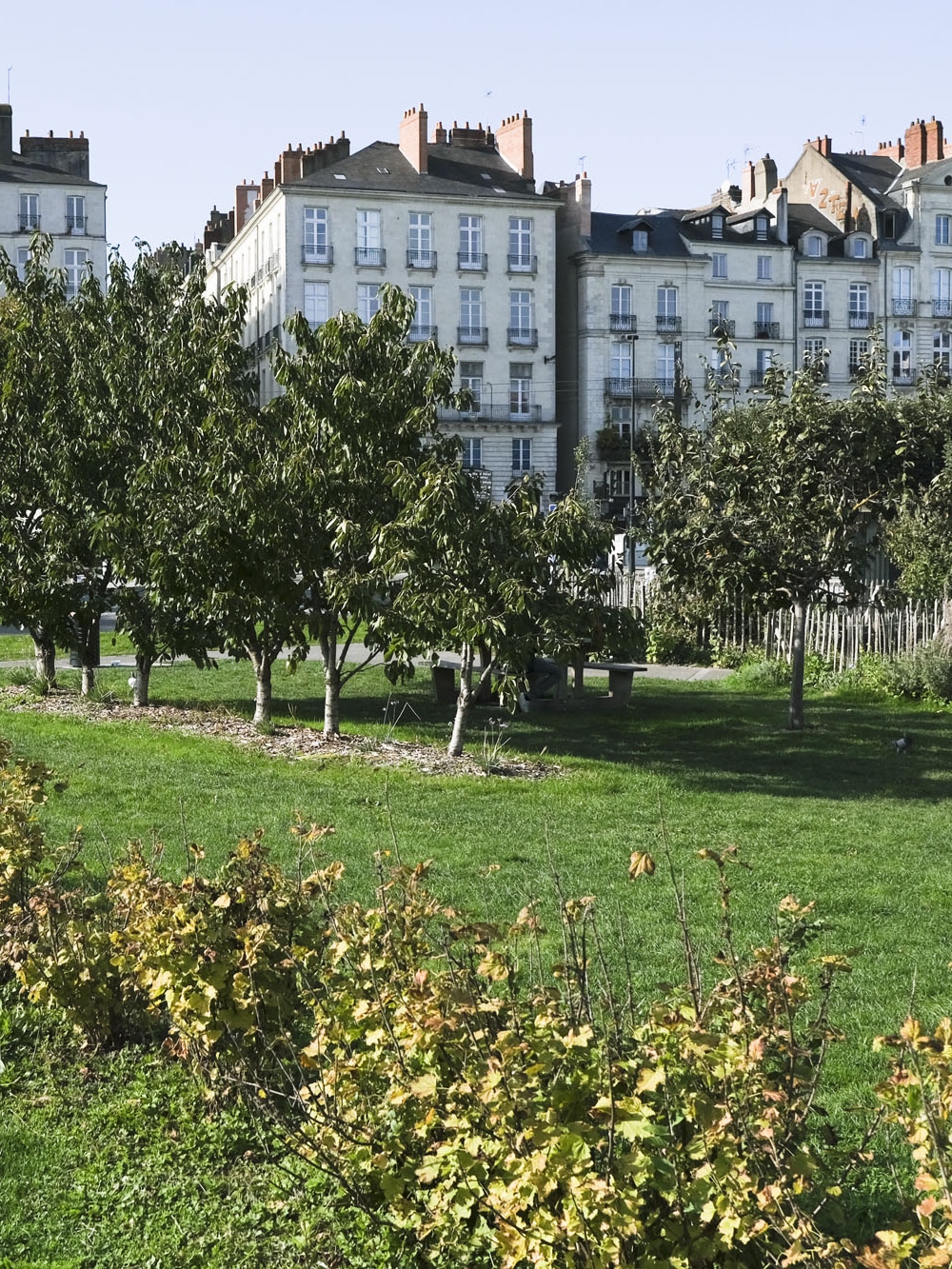 Espace vert urbain aménagé à Nantes, avec arbres et immeubles de centre-ville en arrière-plan.