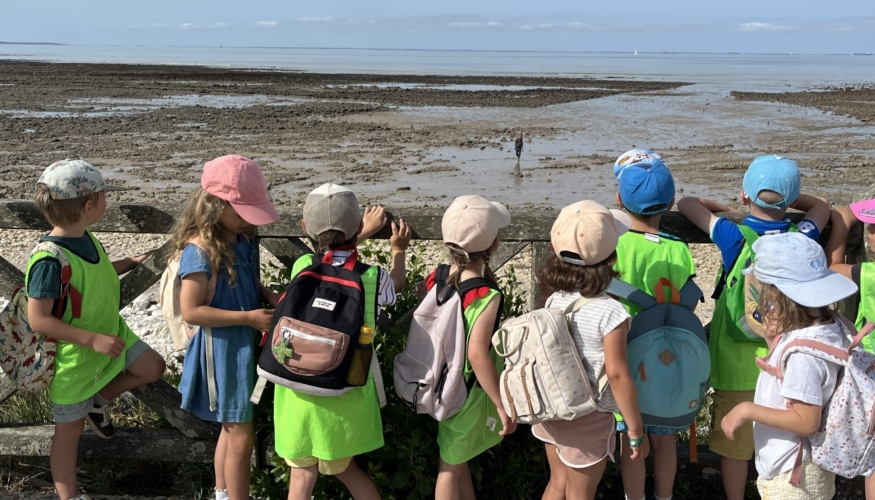 Groupe d’enfants observant l’estran à marée basse lors d’une sortie pédagogique sur le littoral.