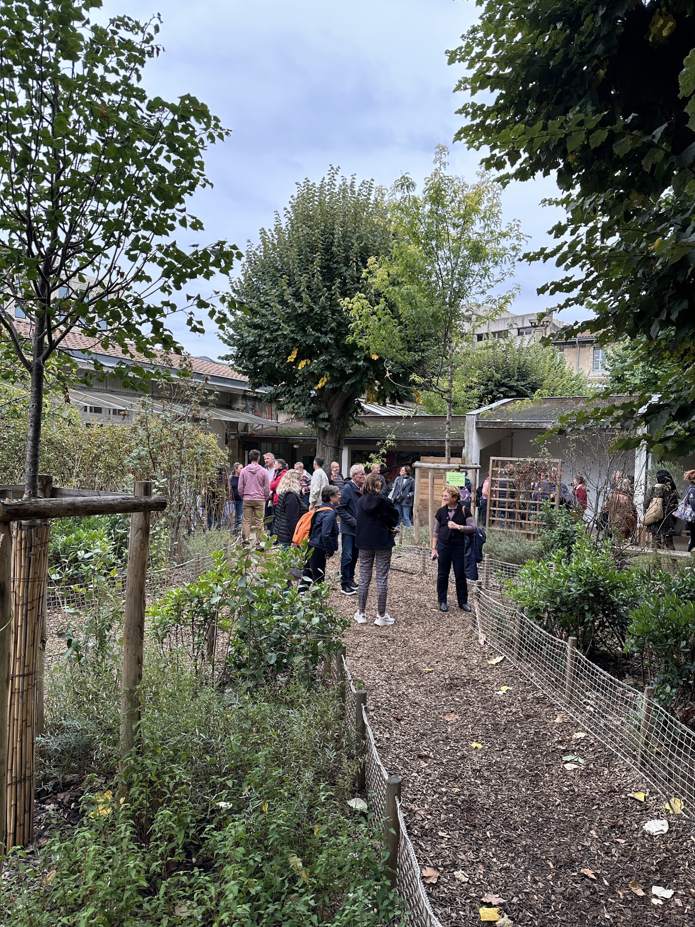 Cour d’école végétalisée à Bordeaux, visitée lors d’un temps d’échanges autour des aménagements éducatifs.